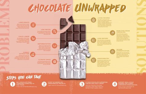 Chocolate Unwrapped Info Graphic Chocolate Infographic, Homemade Chocolate Bars, Fair Trade Chocolate, Chocolate Logo, Chocolate Dreams, Info Graphic, Specialty Foods, Homemade Chocolate, Chocolate Bar