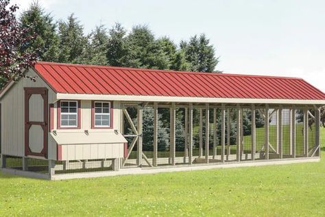 Chicken Coop for 30 Chickens | The Hen House Collection Chicken Cop, Chicken Enclosure, Happy Chickens, Walk In Chicken Run, Amish Chicken, Chicken Houses, Rabbit Enclosure, Walk In Chicken Coop, Enclosure Ideas