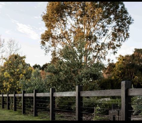 Cheap Front Fence Ideas, Acreage Fencing, Rural Fencing, Dismal Swamp, Acreage Landscaping, California Landscaping, Property Gates, Tamborine Mountain, Deck Railing Ideas