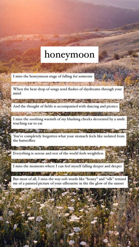 A wholesome poem about the honeymoon stage of falling in love Honeymoon Stage Quotes, Amazing Poems, Stage Quotes, Honeymoon Stage, Cottagecore Wedding, Stages Of Love, Beat Drop, Falling For Someone, Honeymoon Phase