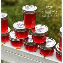 Apple Strawberry Jelly Strawberry Apple Jelly Recipe, Apple Jalapeno Jelly Recipe, Strawberry Jelly Recipe Canning, Strawberry Jelly Recipe, Strawberry Jelly Recipes, Jalapeno Jelly Recipes, Crab Apple Jelly, Recipe Using Apples, Fun Foods To Make