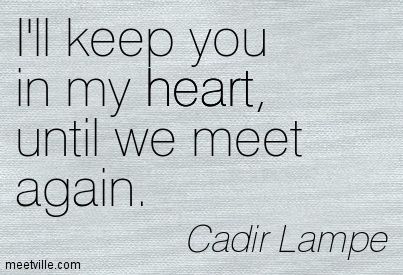 Till We Meet Again Quotes, We Meet Again Quotes, Meet Again Quotes, Jumping Spiders, Eating Fruit, Adoption Quotes, Miss My Dad, Missing My Son, Till We Meet Again