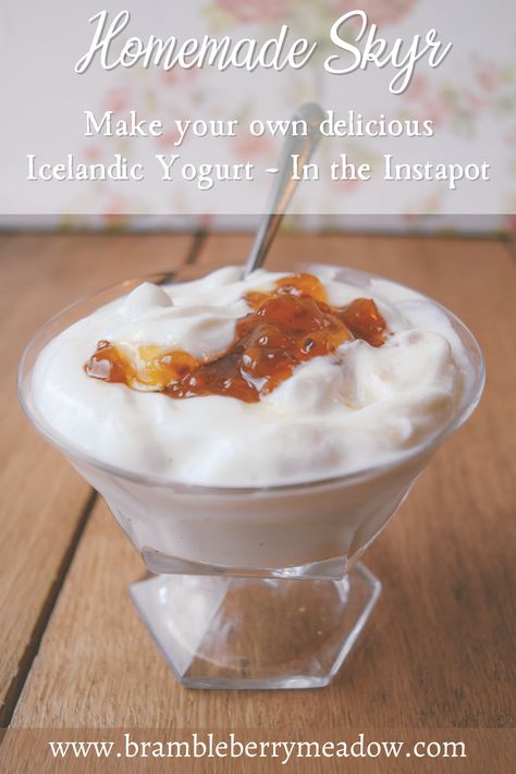 Make your own delicious Icelandic yogurt - In the Instapot! Icelandic Yogurt Recipes, Homemade Yogurt Instant Pot, Oatmilk Yogurt In Instant Pot, Fairlife Yogurt Instant Pot, Instant Pot Skyr Yogurt, Fermented Dairy, Fermenting, Preserving Food, Kefir