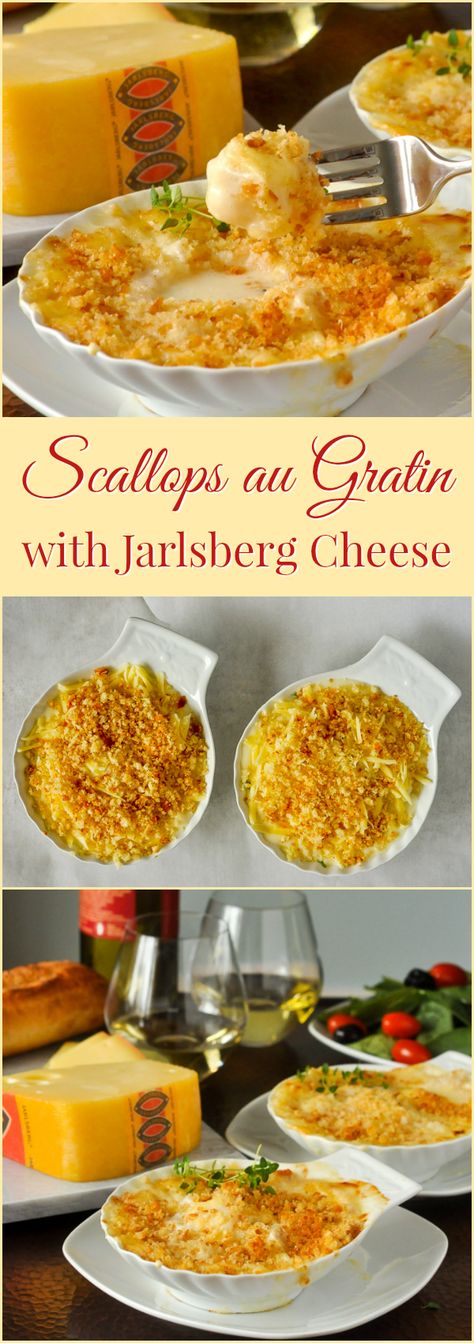 Scallops au Gratin with Jarlsberg Cheese, an indulgently delicious appetizer course or served with a side salad & crusty bread for a special lunchtime meal. Jarlsberg Cheese Recipes, Scallops Au Gratin, Seafood Brunch, Seafood Scallops, Jarlsberg Cheese, Lunchtime Meals, Jarlsberg, Coquille St Jacques, Baked Scallops