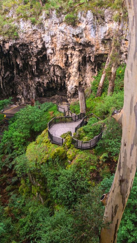 Embark on a journey of exploration in Margaret River with our comprehensive guide to the best activities! 🌿 From tasting exquisite wines to delving into the mysterious depths of Margaret River Caves, there's no shortage of excitement here. Ready to plan your trip? Dive into our blog article for insider tips and unforgettable experiences! #MargaretRiver #TravelGuide #ExploreAustralia #WineTasting #AdventureAwaits #MargaretRiverCaves Margaret River House, Margaret River Western Australia, Margaret River, Healing Heart, A Whale, Blog Article, Whale Watching, South Australia, Free Consultation