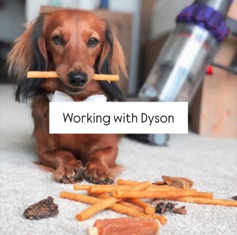 That time we worked with Dyson ☺️ It was so much fun, we created content for them to showcase how their handheld vacuum’s help collect pet hair with ease 🐶 Want to work with a UGC creator? ➡️UGC, or User Generated Content, is a powerful tool for brands to engage with their audience and build authenticity. It’s content created by users, rather than brands themselves, which often leads to higher levels of trust and engagement. How to pitch to brands ⬇️ When pitching UGC to brands, highlight... Ugc Examples, Advertising Methods, Ugc Content, Traditional Advertising, Handheld Vacuum, Pet Hair, Content Creator, Benefits, Australia