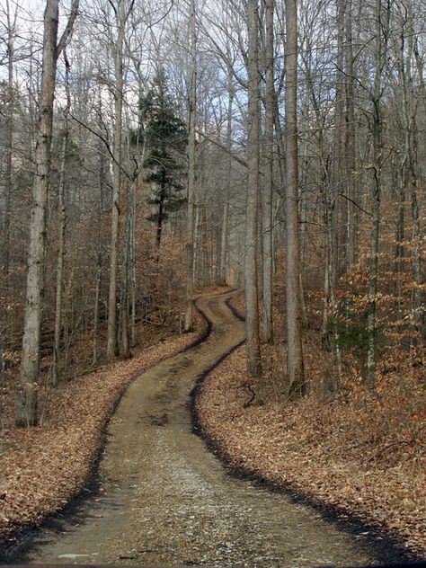 Back Road Appalachia Photography, Landscape Photography Tips, Country Roads Take Me Home, Into The West, Back Road, Appalachian Trail, Walk In The Woods, The Great Outdoors, Beautiful Landscapes