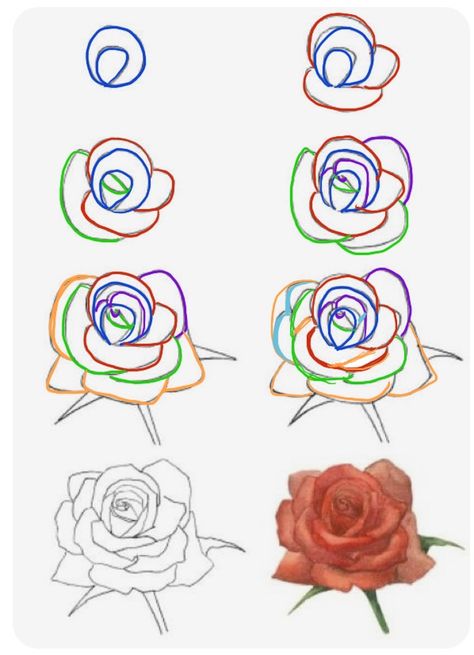 How To Draw A Rose Step By Step Easy, Rose Reference Drawing, Rose Tutorial Drawing, Rose Drawing Simple Step By Step, How To Draw Rose, How To Draw A Rose Step By Step, How To Draw A Rose, Rose Drawing Tutorial, Roses Drawing Tutorial