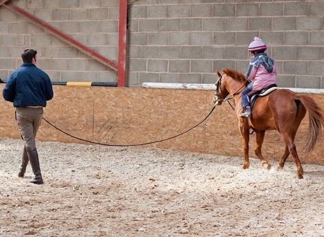 Say thanks to your good teachers What makes a great teacher? Is it someone accomplished at a high level?  Someone who has won blue... Funny Horse, Best Teacher, Big Data, Horse Riding, Equestrian, Don't Forget, Coaching, Horses