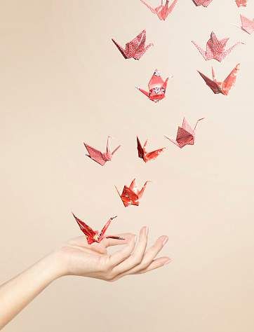 Crane Drawing, Crane Fly, Origami Swan, Origami Cranes, Karaoke Songs, Paper Boat, Origami Crane, Hand Model, Paper Crane