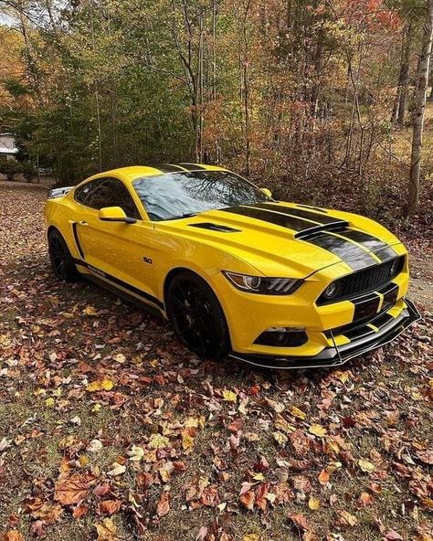 Bumble Bee Camaro, Ghost Female, Yellow Mustang Gt, Yellow Mustang, Yellow Camaro, Chevrolet Camaro 1967 Bumblebee, Black Mustang With Stripes, Yellow Race Car, Yellow Cars