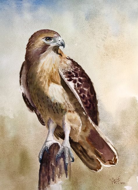 Falcon Art, Abc Art, Instagram Profile Picture Ideas, Big Cats Art, Diy Watercolor Painting, Diy Watercolor, Botanical Drawings, Bird Drawings, Watercolor Drawing