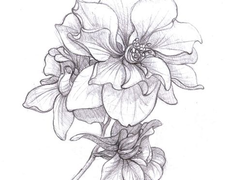 Some flowing flower shapes of the Larkspur flower. I use to be very good at drawing flowers, and it would be nice to get back into them. The...