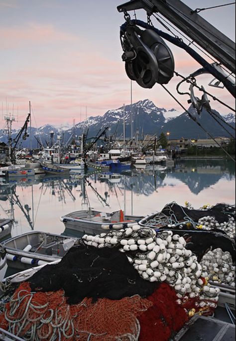 Visiting Alaska, Alaska Salmon Fishing, Valdez Alaska, Halibut Fishing, North To Alaska, Alaska Railroad, Commercial Fishing, Deadliest Catch, Alaska Fishing