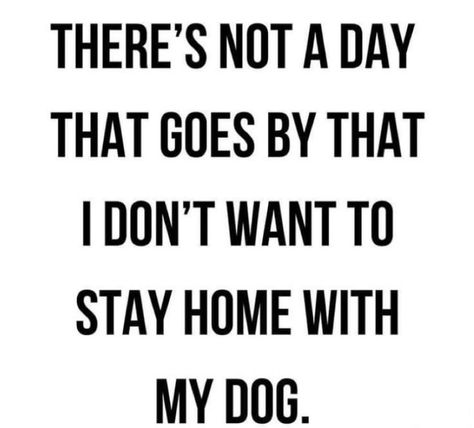 Dog Mom Quotes Humor, Dog Mom Quotes, Colorful Hairstyles, Dog Quotes Love, Quotes Humor, Humor Hilarious, Dog Quotes Funny, Lovers Quotes, Crazy Dog