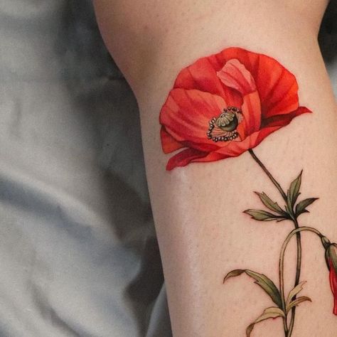 Iceland Poppy Tattoo, Poppy Color Tattoo, Papaver Rhoeas, Poppy Tattoo, Poppies Tattoo, Wicked Tattoos, Poppy Color, Botanical Tattoo, Skin Art