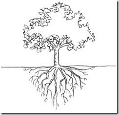 Tree-Root-Drawing Tree With Roots Drawing, Giving Tree Tattoos, Roots Drawing, Tree With Roots, Roots Tattoo, Family Tree Project, Tree Sketches, Trendy Tree, Tree Roots