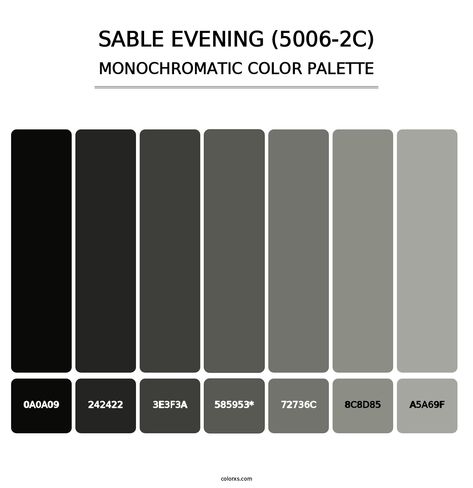 Sable Evening (5006-2C) - Monochromatic Color Palette Black And Grey Color Palette, Gray Pallet, Gray Color Palette, Monochromatic Color Palette, Opposite Colors, Grey Color Palette, Grey Color Scheme, Color Picker, Graphics Inspiration