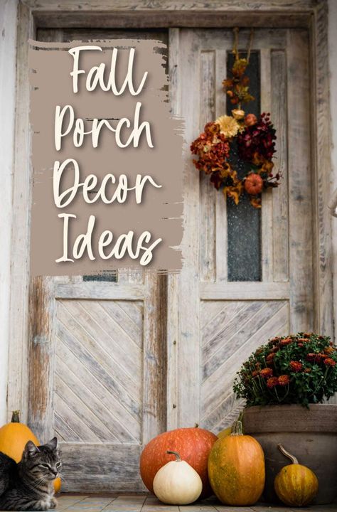 Fall porch decor season is here. Here are some budget-friendly ideas for decorating that involve growing and gathering the materials to get that wonderful lush autumn look. Fall Porch Decor, Country Porch, Spiced Cider, Pumpkin Projects, Fall Front Porch Decor, Ideas For Decorating, Autumn Look, Front Porch Decor, Fall Front Porch