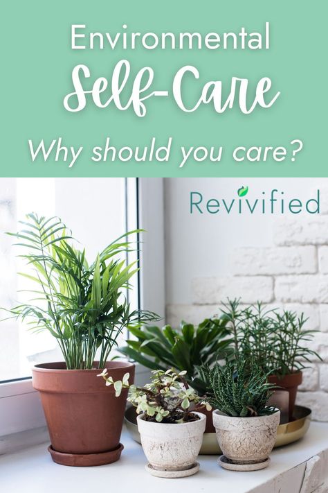 What is environmental self-care? 🌱 Environmental Self Care, Environmental Wellness, Nature Therapy, Organic Hair Care, Holistic Lifestyle, Natural Lifestyle, Easy Plants, Organic Hair, Skin Care Remedies