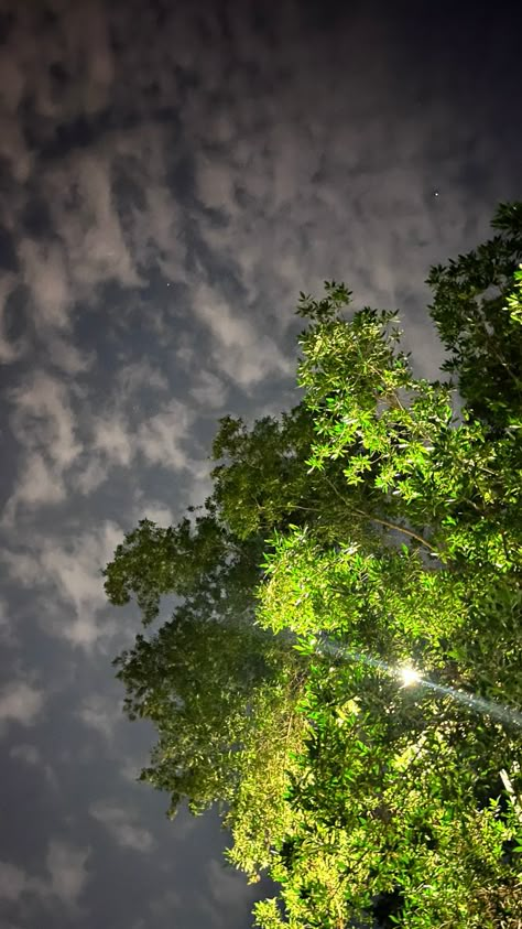 Beautiful Eyes Pics, Night Mode, Sky Photography Nature, Chill Photos, Night Scenery, Aesthetic Photography Nature, Beautiful Nature Wallpaper, Night Sky Photos, Night Aesthetic