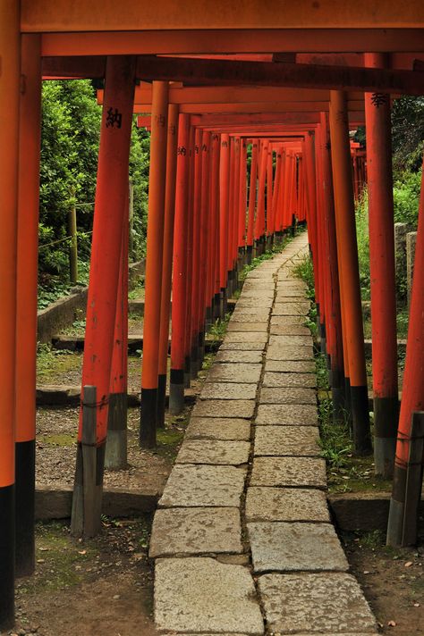 Nezu Shrine, Turning Japanese, Japan Trip, Book Aesthetics, Kyushu, A Bridge, Zen Garden, Summer Festival, Archipelago