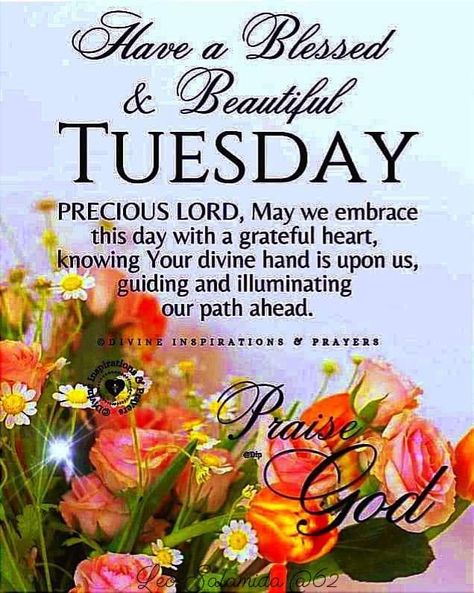 Tuesday Morning Blessings Kjv, Tuesday Blessings Mornings Hindi, Tuesday Morning Bible Blessing, Good Tuesday Morning Quotes, Blessed Tuesday Quotes Inspiration, Tuesday Blessings Inspiration, Good Morning It’s Thankful Thursday, Tuesday Quotes Good Morning, Happy Tuesday Quotes