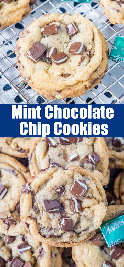 Soft, thick and chewy Mint Chocolate Chip Cookies loaded with Andes Mints and milk chocolate chips. A must for mint and chocolate lovers'. Mint Chocolate Chip Scones, Mint Choc Chip Cookies, Mint Biscuits, Recipes With Mint, Andes Mint Recipes, Dessert List, Mint Chip Cookies, Andes Mint Cookies, Andes Mints