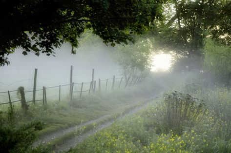 Misty Morning | Explore, June 14, 2011. | Martin Pinker | Flickr Foggy Morning, Back Road, Country Road, Country Life, Farm Life, Pretty Pictures, Beautiful World, Mother Nature, Beautiful Places