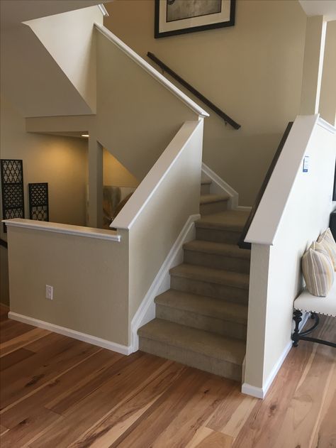 1/2 Drywall Staircase Drywall Railing Staircases, Drywall Staircase Half Walls, Drywall Stair Railing, Drywall Stairs, Drywall Staircase, Staircase Redo, Banister Remodel, Baseboards And Trim, Painted Staircases