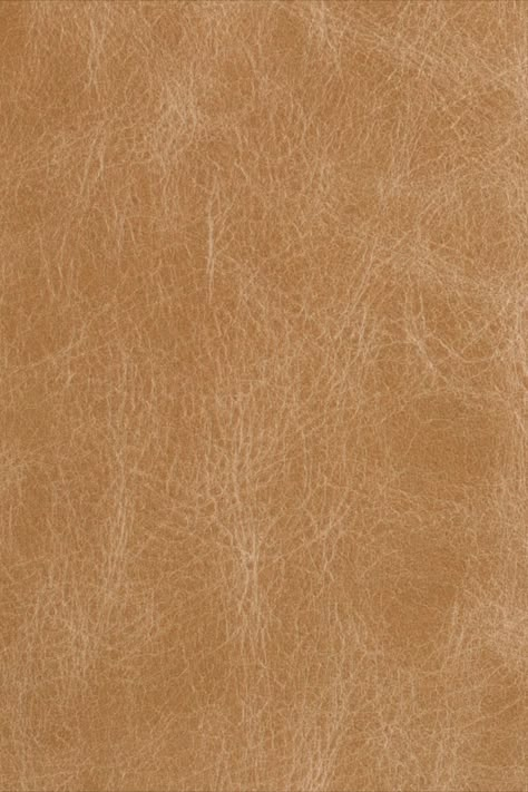 Leather Samples Texture, Chair Fabric Texture, Leather Material Texture, Tan Leather Texture, Leather Texture Seamless, Lodge Interior Design, Sofa Texture, Brown Leather Texture, English Club