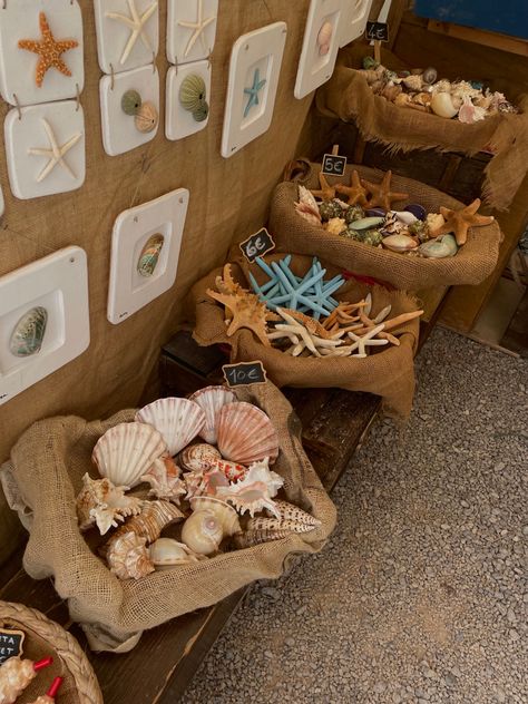 #souvenirs #summer #aesthetic #shells Souvenir Aesthetic, Summer Bucket, Summer Bucket Lists