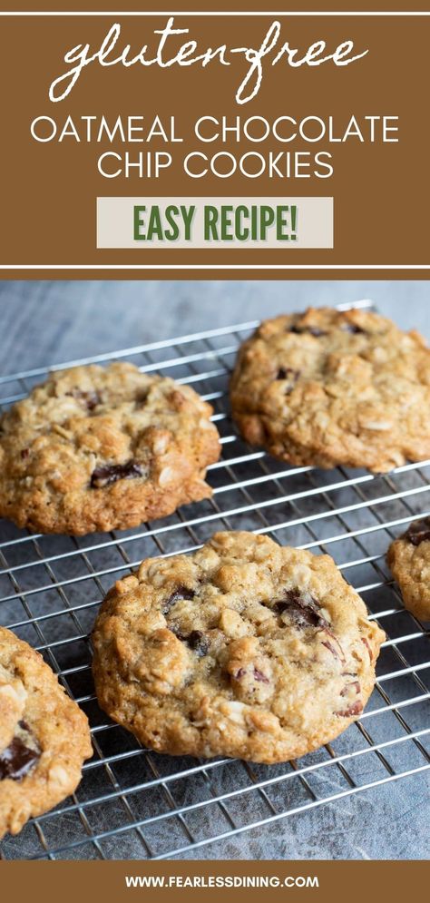 Gluten Free Oatmeal Chocolate Chip, Gluten Free Oatmeal Chocolate Chip Cookies, The Best Cookie Recipes, Gluten Free Oatmeal Cookies, Oats Chocolate, Oatmeal Chocolate Chip Cookie Recipe, Gf Cookies, Gluten Free Cookie Recipes, Gluten Free Chocolate Chip Cookies