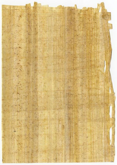 Artfully Musing: Egyptian Papyrus for Your Art Papyrus Paper, Ancient Paper, Egyptian Papyrus, Life In Ancient Egypt, Trip To Egypt, Ancient Writing, Medieval Manuscript, Ancient Egyptian Art, Arabic Art