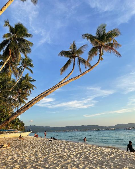 Palm trees 🌴 and sunsets 🌅 in lovely Boracay #boracay #palmtrees #beach #philippines Boracay Sunset, Beach Boracay, Beach Philippines, Philippines Beach, Boracay Beach, Philippines Beaches, Boracay Philippines, Boracay Island, Beach Pics