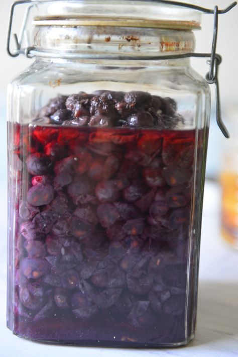 Grape Mead Recipe, Fox Grape Recipes, Things To Do With Concord Grapes, Make Wine From Grapes, Grape Vinegar Recipe, Grape Canning Ideas, Homemade Muscadine Wine, Grape Liqueur Recipe, Wine Grape Recipes