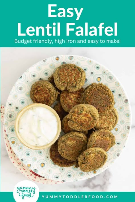 Lentil falafel on plate with dip. Lentils For Toddlers, Lentil Toddler Recipes, Lentil Baby Food Recipe, Protein Rich Lentil Patties, Green Lentil Falafel, Quick Family Dinners, Baked Falafel, Falafel Recipe, Gluten Free Bread Crumbs