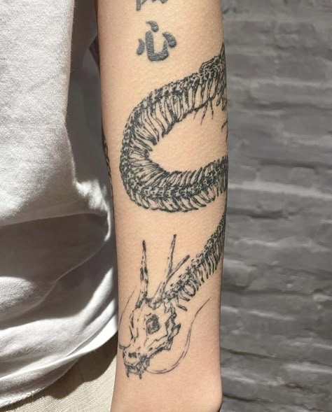 Dragon Bones Tattoo, Deathclaw Tattoo, Single Line Tattoo Men, Bakunawa Tattoo, Geography Tattoo, Tattoo Art Men, Dragon Skeleton Tattoo, High Contrast Tattoo, Cryptic Tattoos