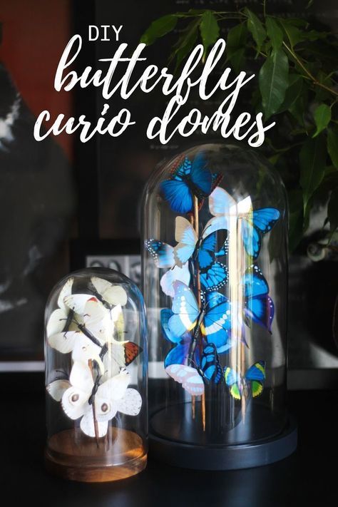 Taxidermy Diy, Diy Papillon, Diy Butterfly, Traditional Interior Design, Faux Taxidermy, The Bell Jar, Contemporary Home Decor, Pallet Projects, Decoration Home