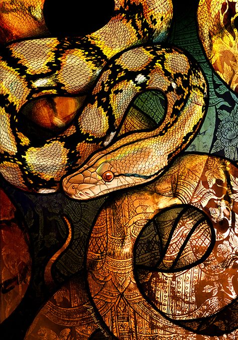 Reticulated Python by Culpeo-Fox Python Drawing, Snake Painting, Reticulated Python, Snake Wallpaper, Snake Art, Beautiful Snakes, Snakes, Python, Animal Art