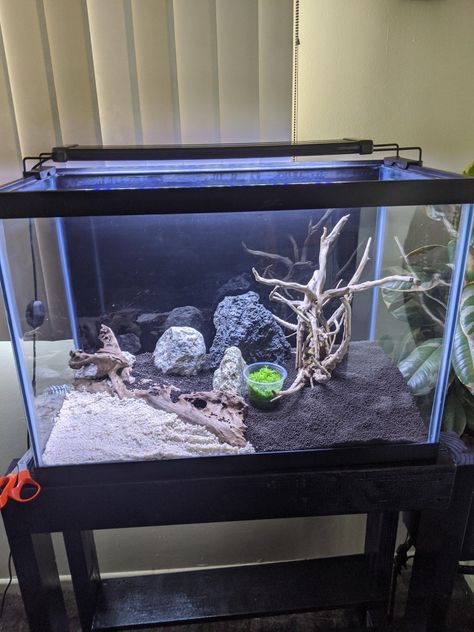 Black Sand Fish Tank Aquarium, Black And White Aquarium, Black Sand Aquarium Ideas, Black Sand Fish Tank, White Sand Aquarium, Black Sand Aquarium, Goldfish Aquarium, Mens Bedroom Decor, Small Fish Tanks