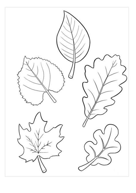 Leaf Template Printable, Vegetable Crafts, Flower Templates Printable, Pattern Activities, Autumn Activities For Kids, Leaf Template, Fall Coloring Pages, Flower Stencil, Art Template