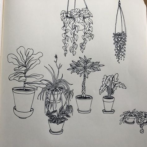 Arte Aries, Plant Sketches, Plant Tattoo, Plant Drawing, Pretty Tattoos, Line Art Drawings, Drawing Inspo, Simple Tattoos, Cute Tattoos