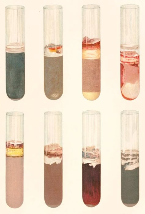 Bacteria Aesthetic, Bioengineering Aesthetic, Natural Science Aesthetic, Disease Aesthetic, Microbiology Aesthetic, Bacteria Illustration, Aesthetic Chemistry, Bacteria Art, Lab Aesthetic