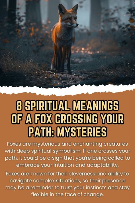 Fox Crossing Path: Spiritual Signs Spiritual Meaning Of Foxes, Fox Meaning Spiritual, Red Fox Spiritual Meaning, Spiritual Animal Meanings, Fox Meaning, Fox Symbolism, Spirit Animal Meaning, Animal Meanings, Spiritual Animal