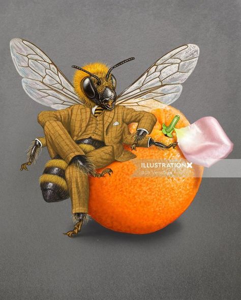 Blood Orange fruit advertising illustration Bob Venables, Fruit Advertising, Drink Illustration, Parapsychology, Advertising Illustration, Wacom Cintiq, Old Maps, Orange Fruit, Bees Knees