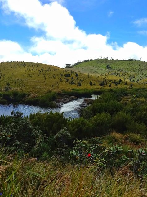 nature photos | traveling | nature photography | nature wallpapers Horton Plains Sri Lanka, Nuwara Eliya Sri Lanka, Nuwara Eliya, Cloud Forest, Sri Lanka, Places To Visit, Forest, Quick Saves