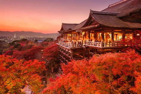 The Kiyomizu-dera Temple, an important UNESCO World Heritage Site, lies in a picturesque location on Otowa Mountain overlooking the city. Kiyomizu-dera Temple, Kyoto Itinerary, Kiyomizu Temple, Visit Kyoto, Shinjuku Gyoen, Japan Destinations, Hamamatsu, Japan Guide, Kiyomizu Dera