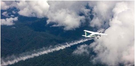 Artificial rain or cloud seeding is a type of weather modification that aims to change the amount or type of precipitation that falls from clouds by dispersing some chemical substances into the air that serve as cloud condensation or ice nuclei, which alter the microphysical processes within the cloud. The most common chemicals used for […] The post Artificial Rain and Cloud Seeding for Water Conservation appeared first on Constro Facilitator. Types Of Precipitation, Cloud Seeding, Tao Tao, Renewable Energy Resources, Tongass National Forest, Chemical Substances, Temperate Rainforest, Planetary Science, Make It Rain