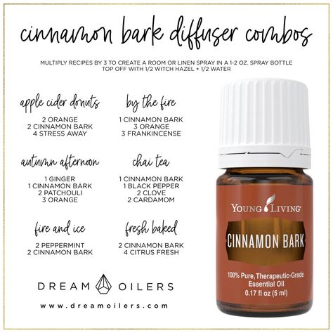 Cinnamon Essential Oil Diffuser, Cinnamon Essential Oil Uses, Cinnamon Bark Essential Oil Blends, Diffuser Blends With Cinnamon, Cinnamon Essential Oil Recipes, Cinnamon Oil Blends, Cinnamon Diffuser Blends, Cinnamon Bark Diffuser Blends, Cinnamon Essential Oil Blends